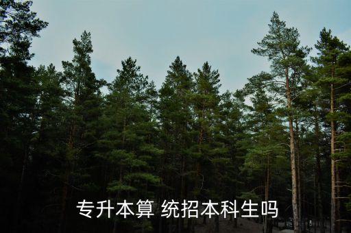  專升本算 統(tǒng)招本科生嗎