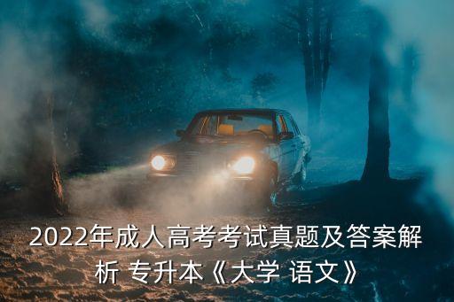 2022年成人高考考試真題及答案解析 專升本《大學(xué) 語(yǔ)文》