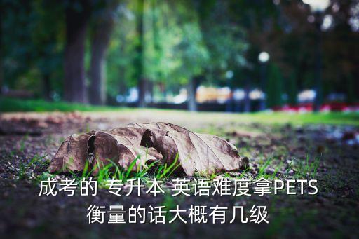 成考的 專升本 英語難度拿PETS衡量的話大概有幾級