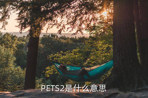 江西專(zhuān)升本英語(yǔ)pets2級(jí)