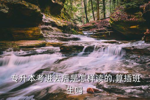 專升本 讀程序,民辦專升本有必要讀嗎