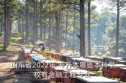 山東省2022年 專升本哪些本科學(xué)校有金融工程專業(yè)