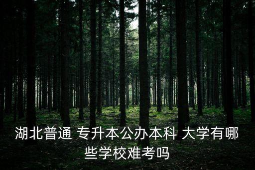 湖北普通 專升本公辦本科 大學(xué)有哪些學(xué)校難考嗎