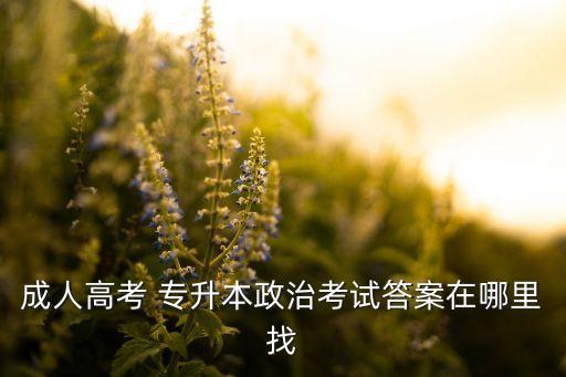 成人高考 專(zhuān)升本政治考試答案在哪里找