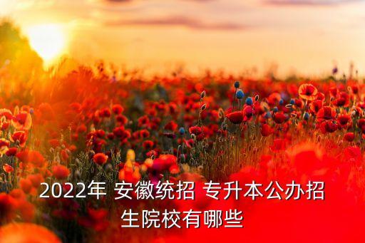 2022年 安徽統(tǒng)招 專升本公辦招生院校有哪些