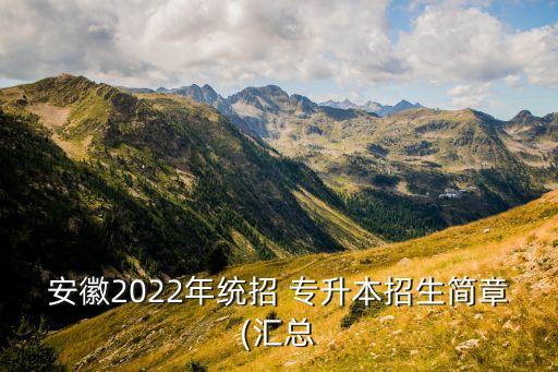 安徽2022年統招 專升本招生簡章(匯總