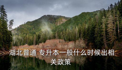 2017湖北教育廳專升本,湖北教育廳專升本報名平臺