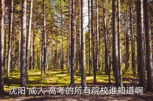 沈陽(yáng) 成人 高考的所有院校誰知道啊