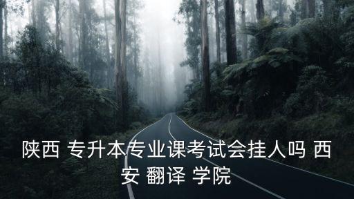 西安翻譯學(xué)院專升本抓呢