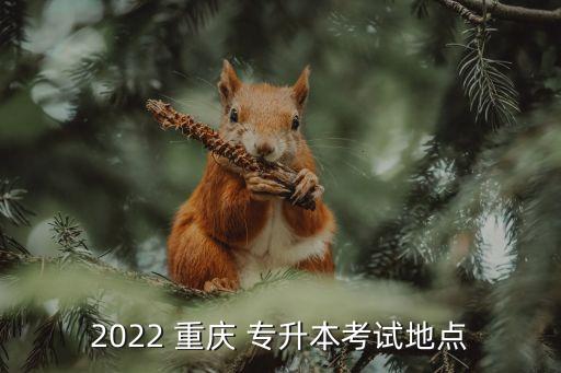 2022 重慶 專升本考試地點(diǎn)