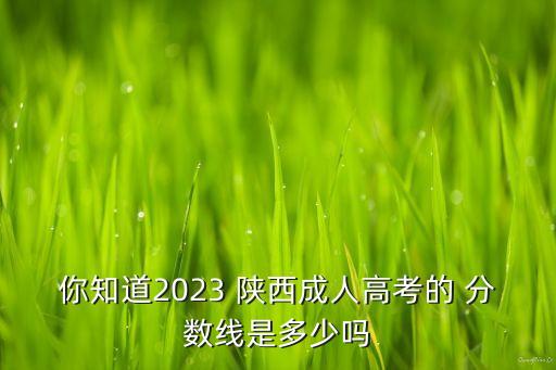 你知道2023 陜西成人高考的 分?jǐn)?shù)線是多少嗎