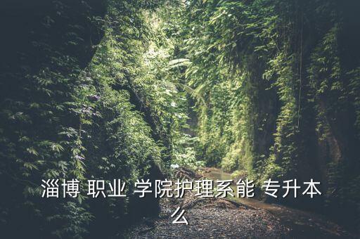  淄博 職業(yè) 學(xué)院護(hù)理系能 專升本么