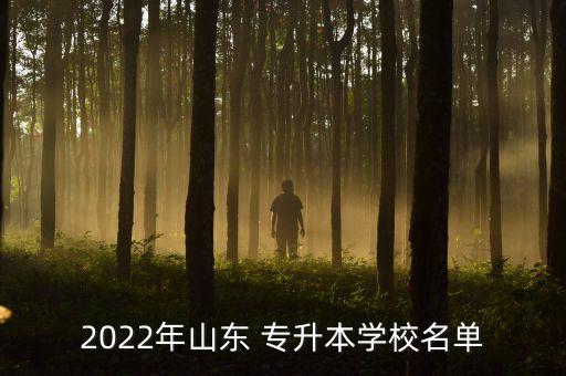 2022年山東 專升本學校名單