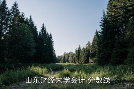  山東財經(jīng)大學(xué)會計 分?jǐn)?shù)線