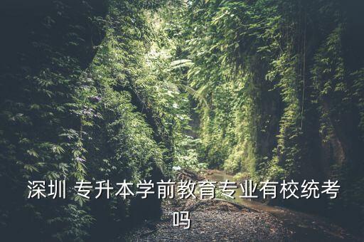 深圳大學(xué)停止專升本,專升本可以考深圳大學(xué)嗎