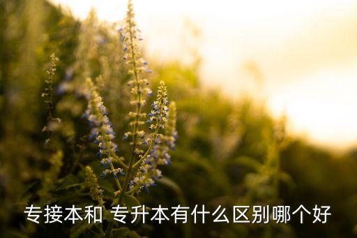 專接本和 專升本有什么區(qū)別哪個好