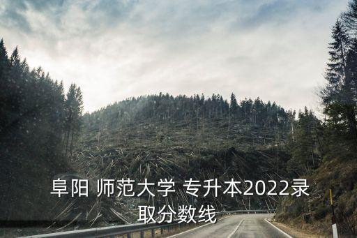  阜陽 師范大學(xué) 專升本2022錄取分數(shù)線