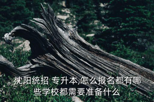  沈陽統(tǒng)招 專升本,怎么報名都有哪些學校都需要準備什么