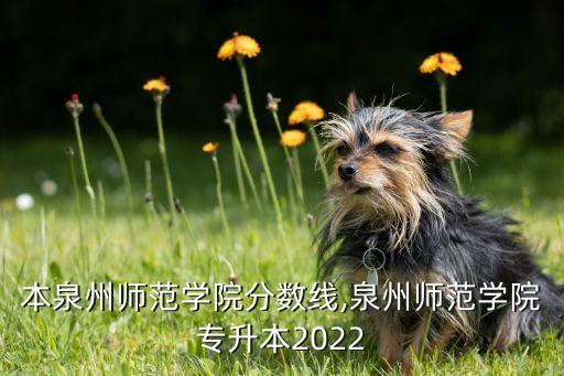 本泉州師范學(xué)院分?jǐn)?shù)線,泉州師范學(xué)院專升本2022