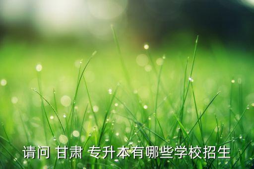 請(qǐng)問(wèn) 甘肅 專升本有哪些學(xué)校招生