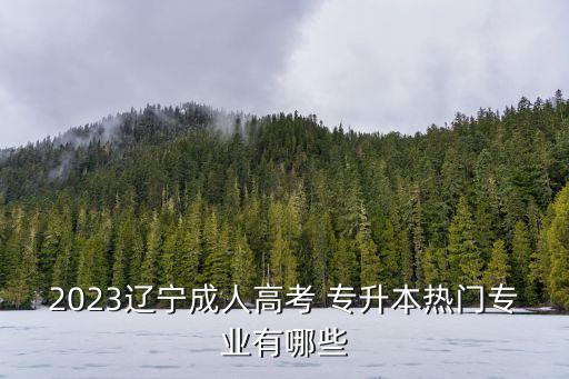 2023遼寧成人高考 專升本熱門專業(yè)有哪些