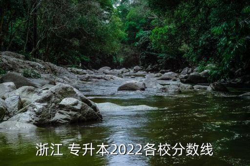 浙江 專升本2022各校分?jǐn)?shù)線