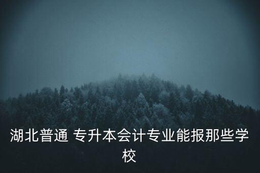 湖北普通 專升本會計專業(yè)能報那些學(xué)校