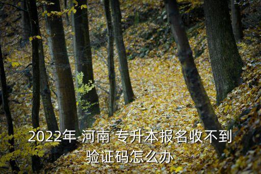 2022年 河南 專升本報名收不到驗證碼怎么辦