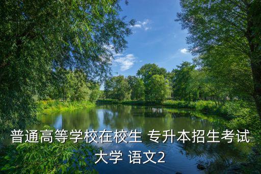 普通高等學(xué)校在校生 專升本招生考試大學(xué) 語(yǔ)文2