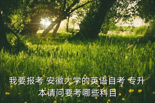 我要報(bào)考 安徽大學(xué)的英語(yǔ)自考 專升本請(qǐng)問(wèn)要考哪些科目