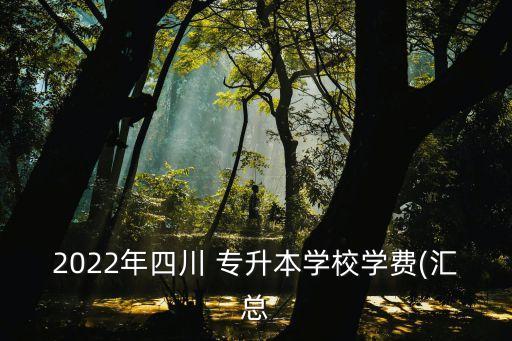 成都專升本咨詢服務(wù),成都地鐵咨詢服務(wù)電話