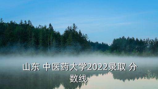  山東 中醫(yī)藥大學(xué)2022錄取 分?jǐn)?shù)線