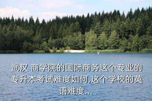  武漢 商學院的國際商務這個專業(yè)的 專升本考試難度如何,這個學校的英語難度...