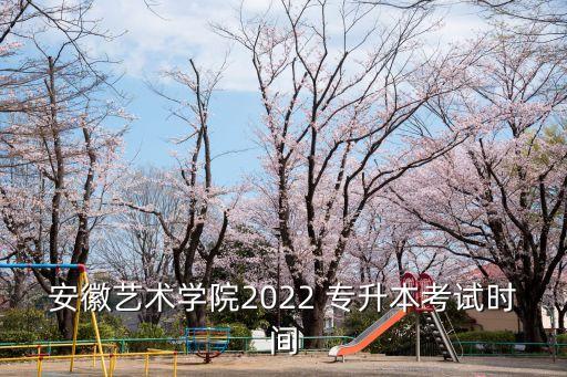 安徽藝術(shù)學院2022 專升本考試時間