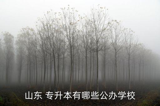 山東 專升本有哪些公辦學(xué)校