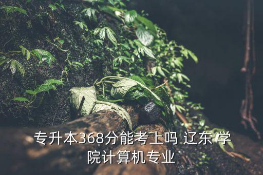  專升本368分能考上嗎 遼東 學(xué)院計(jì)算機(jī)專業(yè)