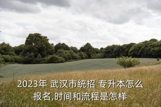 2023年 武漢市統(tǒng)招 專升本怎么報名,時間和流程是怎樣