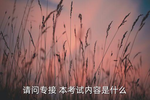 請問專接 本考試內(nèi)容是什么