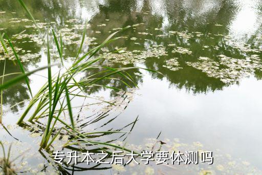  專升本之后大學(xué)要體測嗎