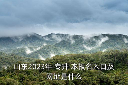 山東2023年 專(zhuān)升 本報(bào)名入口及網(wǎng)址是什么