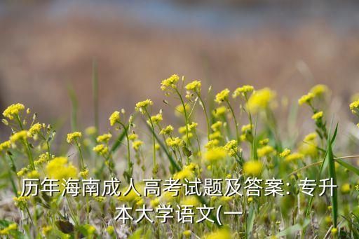 歷年海南成人高考試題及答案: 專升本大學(xué)語(yǔ)文(一