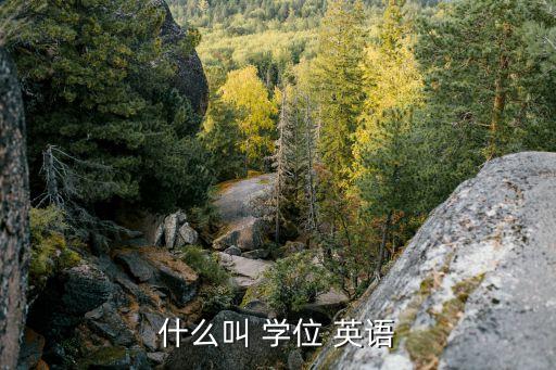 什么叫 學(xué)位 英語