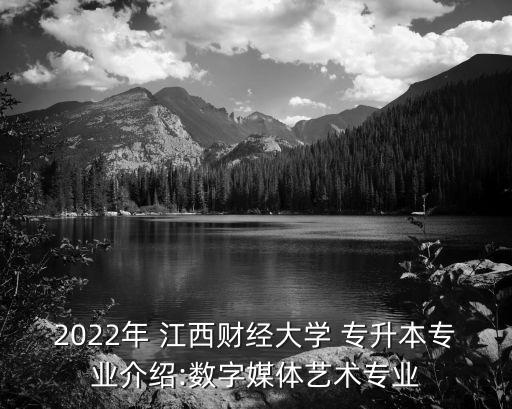 2022年 江西財(cái)經(jīng)大學(xué) 專升本專業(yè)介紹:數(shù)字媒體藝術(shù)專業(yè)