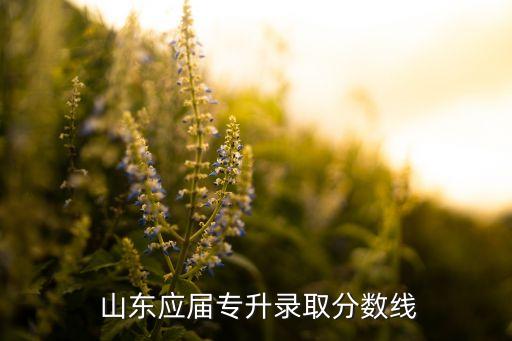  山東應(yīng)屆專升錄取分?jǐn)?shù)線