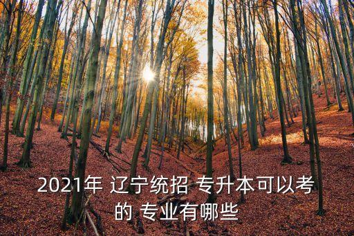 2021年 遼寧統(tǒng)招 專升本可以考的 專業(yè)有哪些