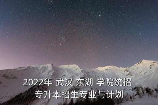 2022年 武漢 東湖 學(xué)院統(tǒng)招 專升本招生專業(yè)與計劃