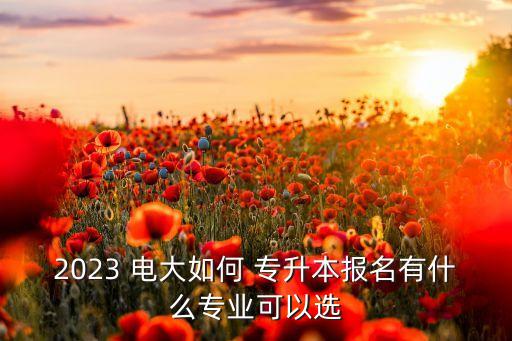 2023 電大如何 專升本報名有什么專業(yè)可以選