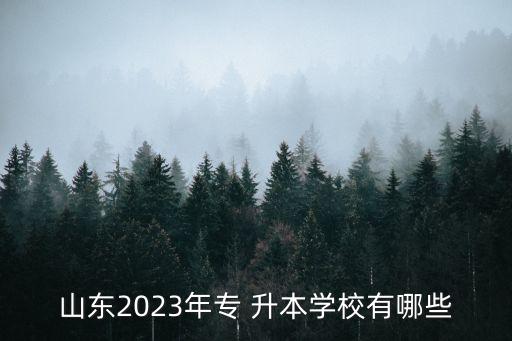 山東2023年專 升本學校有哪些