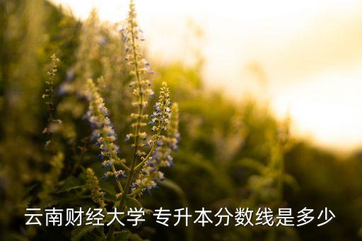 云南財(cái)經(jīng)大學(xué) 專升本分?jǐn)?shù)線是多少