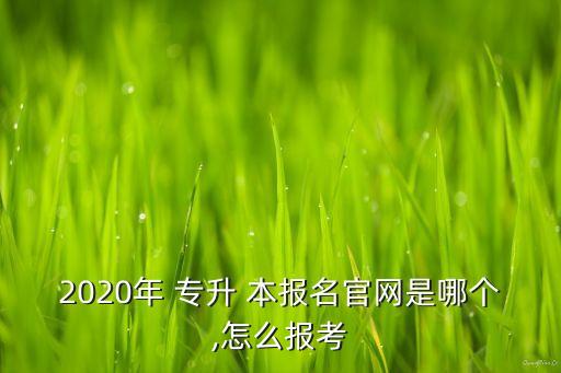 2020年 專升 本報(bào)名官網(wǎng)是哪個(gè),怎么報(bào)考